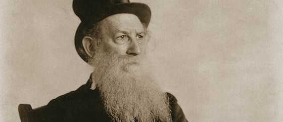 AfterSherman_Rabbi_DetailSplash